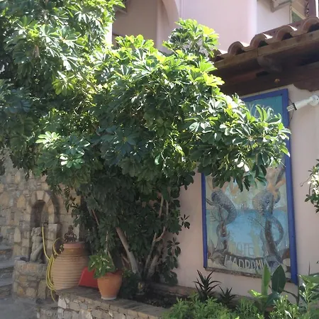 Liadromia * Patitiri